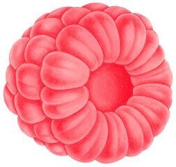 Raspberry fruit Watercolor illustration