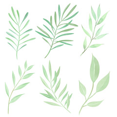 green leaves seamless pattern. Set of lovely watercolor leaves and branches. Botanical Png illustration.