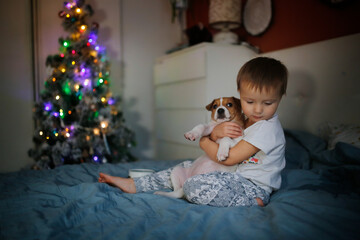 Fototapeta Cute toddler kid girl with puppy on background of garland and christmas tree obraz