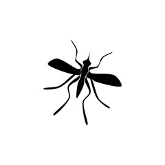 Mosquito hand draw icon