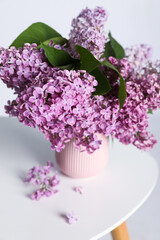 Beautiful lilac flowers in vase on white table