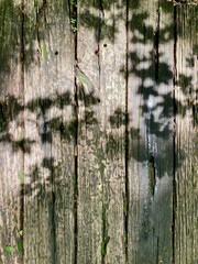 木漏れ日が落ちる木の板　壁の背景