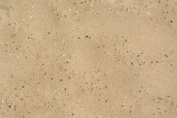 Texture of sandy beach as background, top view