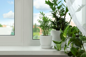Different potted houseplants on windowsill indoors, space for text