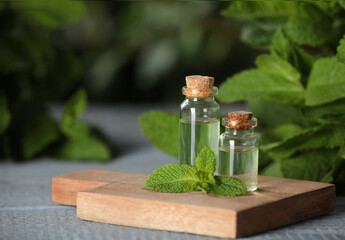 Bottles of mint essential oil and green leaves on grey wooden table, closeup. Space for text