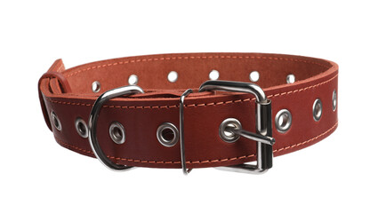 Brown leather dog collar isolated on white