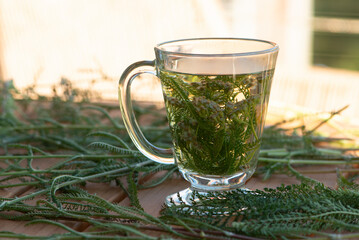 Fresh yarrow herb tea. Achillea millefolium. Healing homeopathy.