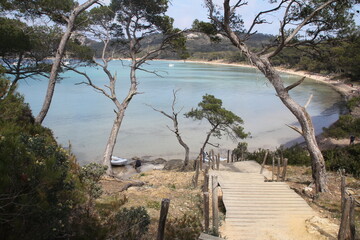 Presqu'île de Giens