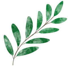 leaf in watercolor