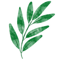 leaf in watercolor