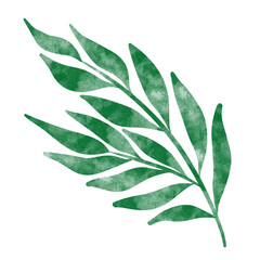 leaf in watercolor