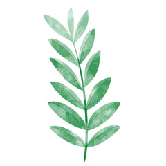 Fototapeta na wymiar leaf in watercolor