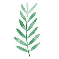 leaf in watercolor