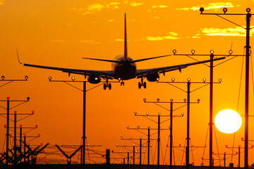 Commercial airplane landing in sunset at a runway