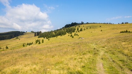 Fototapeta premium Idyllic mountain landscape early in the morning in Austria