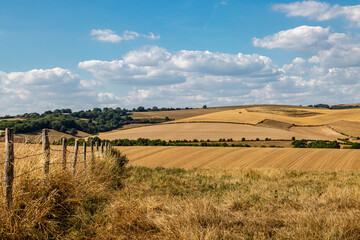 Looking out over farmland in Sussex on a hot summer's day