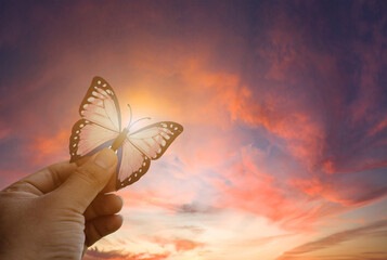 Hands releasing butterflies into orange sky at sunrise, liberty and hope concept.