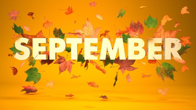 September Herbstlaub
