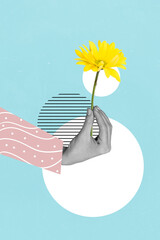 Vertical composite collage illustration of hand hold daisy flower tenderness gentle dating flora...