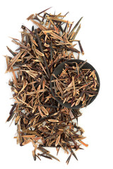 Honey locust thorn herb used in Chinese herbal plant medicine to treat skin diseases, swelling and boils. Is anti inflammatory. Zao jiao ci. Gleditsia sinensis. On white background.