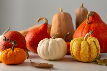 White and orange pumpkins set on marble surface food background autumn concept