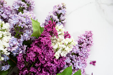 Top view of lilac blossom spring concept flowers overhead