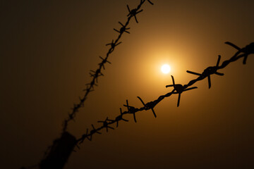 Selective focus of barbed wire silhouette on sunset background.