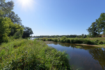 Fototapeta na wymiar Mahyses island protected natural area in the Loire Valley near Saint-Benoist-sur-Loire village