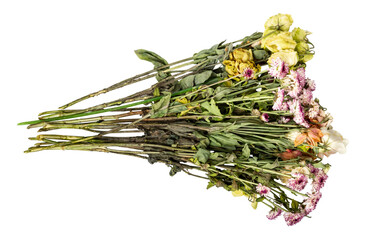 Withered flowers isolated on white background. Withered chrysanthemums. Withered eustoma. Bouquet...