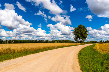Fototapeta na wymiar Beautiful summer landscape with a country road