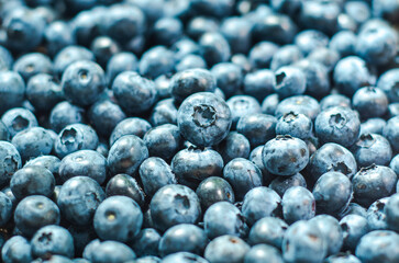 Blueberries close up background with selective focus