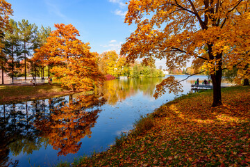 Fototapeta na wymiar Autumn foliage and Grand pond in Catherine park, Pushkin (Tsarskoe Selo), Saint Petersburg, Russia