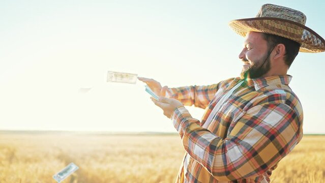 Caucasian happy rich businessman farmer with beard in straw hat holding in hands and counting stack of bills of money and cash flying across wheat field. Agribusiness. Male laughing and toothy smile.