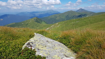 landscape in the mountains