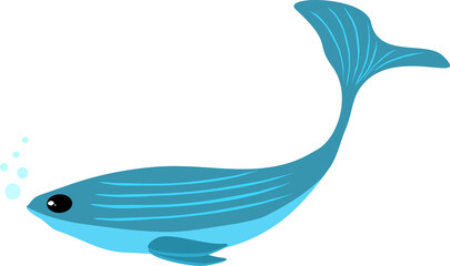 Whale dolphin fish swim underwater sea for decorative