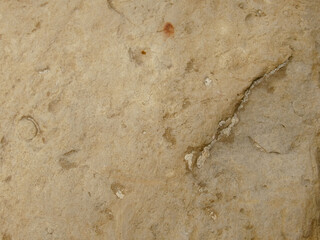 texture of sand stone for background. stone texture of limestone stone surface abstract background