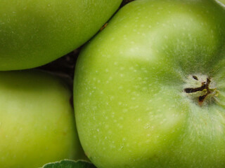 Close-Up Of Fruits Growing On Tree. Apples ripen on a columnar apple tree