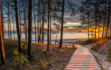 Wooden footpath leading to a beach of the Baltic Sea. Concept of happy, bliss and healthy summer...
