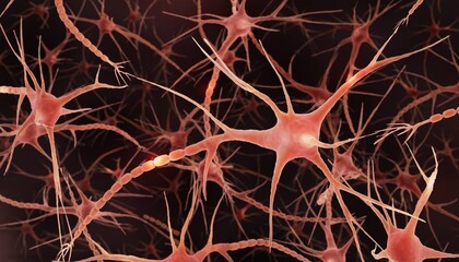 Human brain cells, Scientifically accurate illustration of neurons in human brain