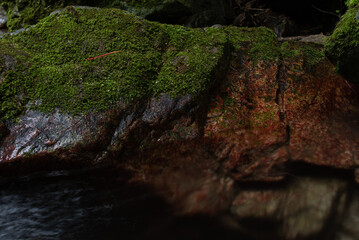渓流の岩