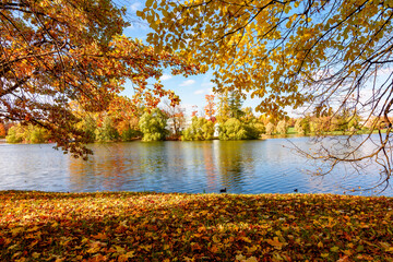 Naklejka na ściany i meble Grand pond in autumn in Catherine park, Pushkin (Tsarskoe Selo), Saint Petersburg, Russia