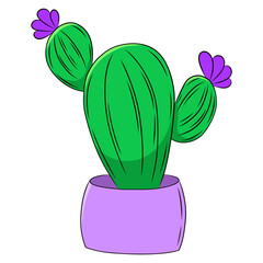 Colorful cactus doodle illustration. Isolated on white background.