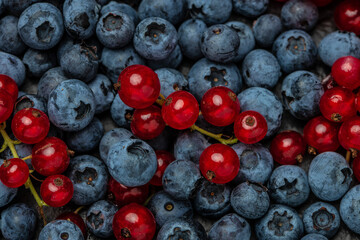 fresh berries close up, blueberry and red currant background, Texture berries