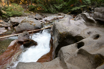 Avalanche Lake Trail in Glacier National Park USA