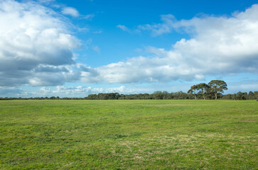 Background texture of large park with well-maintained green grass lawn and some Australian native trees in the distance against blue sky with dramatic cloud. Copy space for text.