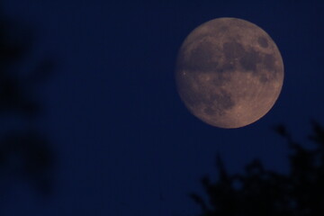 Obraz na płótnie Canvas full moon photo