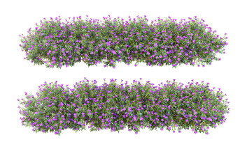 Shrubs and flowers on a transparent background.