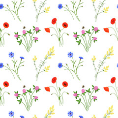 Seamless pattern with wild meadow flowers. Vector color illustration on the white background.
