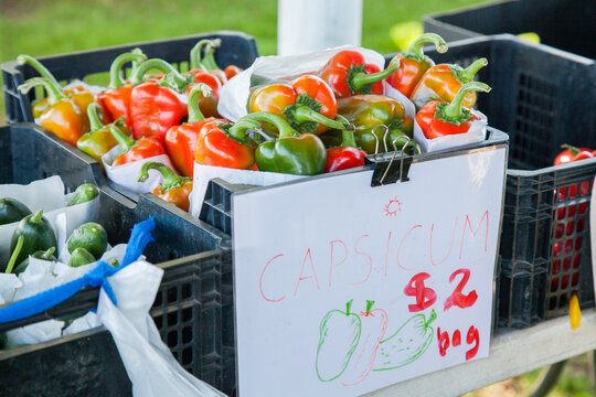 Capsicums for sale at a farmers market