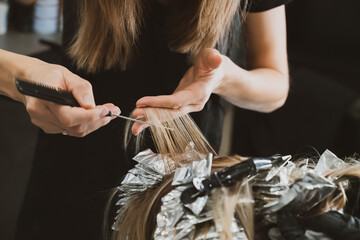 Hair Coloring In A Beauty Salon. Professional wizard paints the hair in the salon. Beauty concept,...
